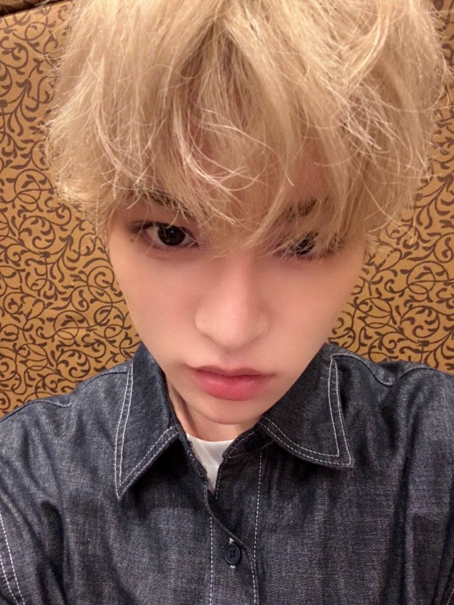 miovry's tweet photo. 머리볶앗더나완죤푸들 https://t.co/Qg7GQUQLHa
