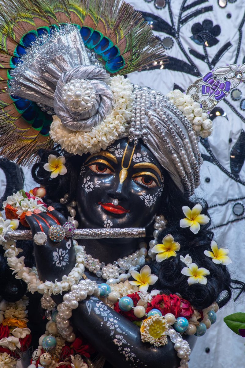 theholy_monk's tweet photo. Today's Singar Darshan 
ISKCON Temple Vrindavan 
Date 06 Jun 2026 Saturday 

Radha Shyam Sundar 🍁🫐🌸🍊 https://t.co/MQPBFJt9ru