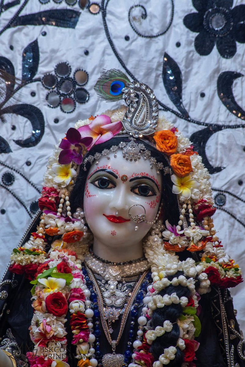 theholy_monk's tweet photo. Today's Singar Darshan 
ISKCON Temple Vrindavan 
Date 06 Jun 2026 Saturday 

Radha Shyam Sundar 🍁🫐🌸🍊 https://t.co/MQPBFJt9ru
