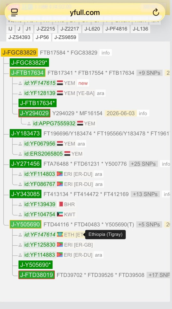 AlmehriAman's tweet photo. The new Tigray sample has joined J1-P56 > J-Y505690 on YFull, clustering with two Eritrean samples. They share a common paternal ancestor. https://t.co/4zTiv9ouX0