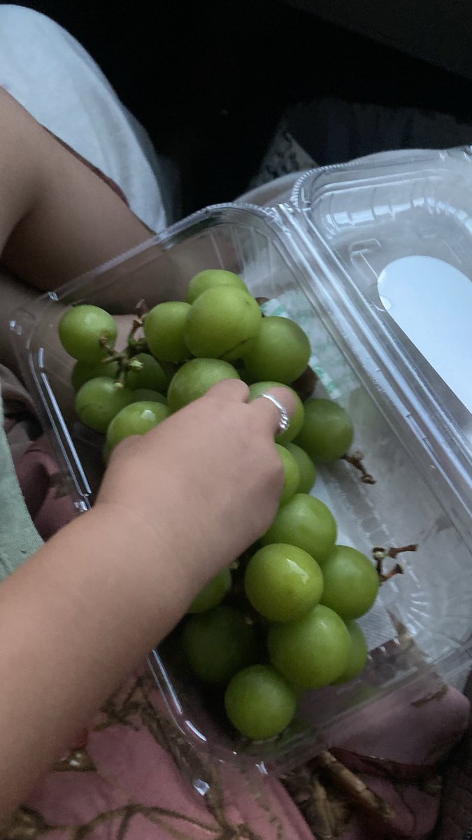 phienocio's tweet photo. Pecintaa buah bangett bocil ini😍🍇 https://t.co/74LHtkHc7f