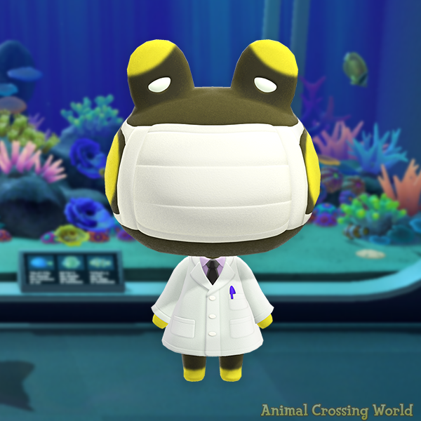 Animal Crossing World ๐๏ธ tweet media