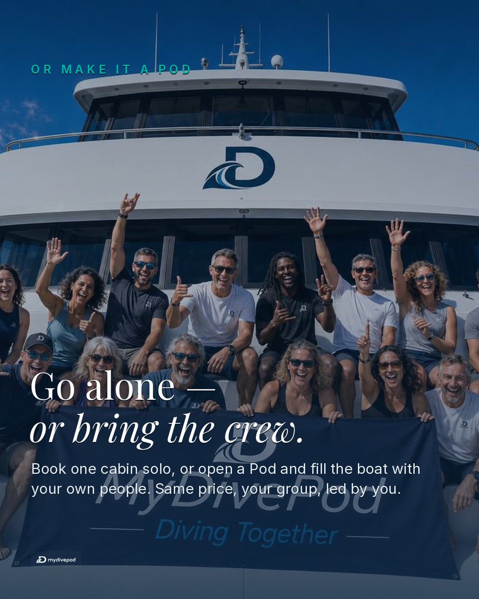 mydivepod's tweet photo. Maldives liveaboard, 10 days, 12 guests max. Channel &amp; blue-water diving mantas, whale sharks, schooling pelagics. $2,962pp, Jun 29–Jul 9, one cabin left.

Go solo or open a Pod and lead your own group. → https://t.co/eSseUkXLJs https://t.co/OAaOLwTZw6