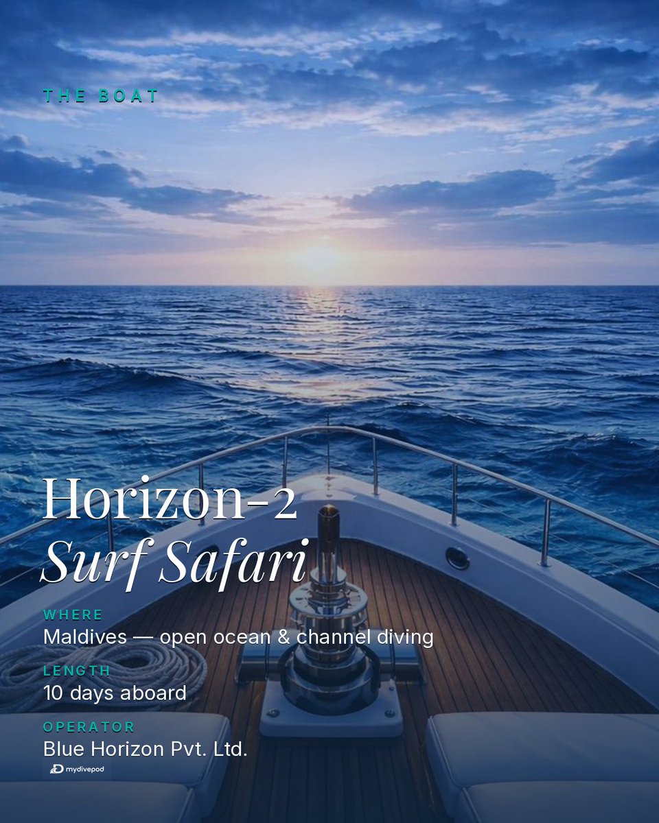 mydivepod's tweet photo. Maldives liveaboard, 10 days, 12 guests max. Channel &amp; blue-water diving mantas, whale sharks, schooling pelagics. $2,962pp, Jun 29–Jul 9, one cabin left.

Go solo or open a Pod and lead your own group. → https://t.co/eSseUkXLJs https://t.co/OAaOLwTZw6