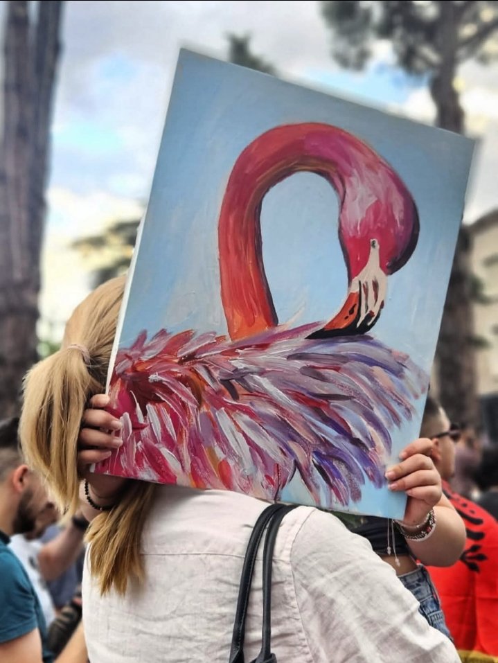 ssozcan48's tweet photo. #Arnavutluk 🇦🇱 Satılık Değil sloganlarıyla günlerdir sokakları dolduran protestocular,Trump"n damadı Jared Kushner'in Nardén adası projenin iptal edilmesini ve ulusal varlıkların korunmasını talep ediyor.
#TiranaProtest #AdriaticCoast #AlbaniaNews #Narten #flamingorevolution https://t.co/w3tcoMmGjJ