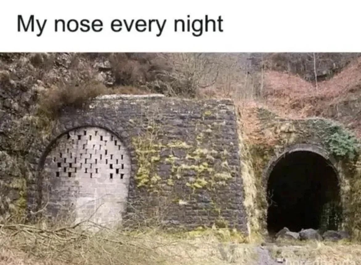 nocontextmemes's tweet photo. https://t.co/3SIvoABX7B
