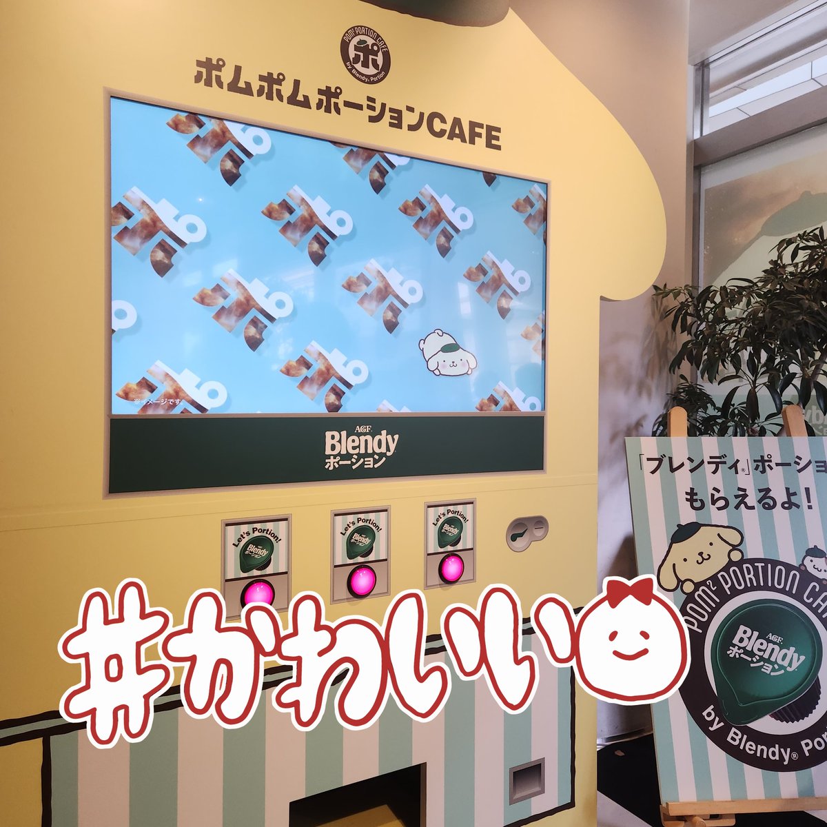toror_0's tweet photo. @agfcm2 #ぱぴぷぺポーション

ポムポムポーションCAFE可愛すぎて
今年の夏もブレンディポーション💚💚
来年もぜひお願いします！（プリンかわいすぎ🥹💞） https://t.co/2xSZaLOxcv