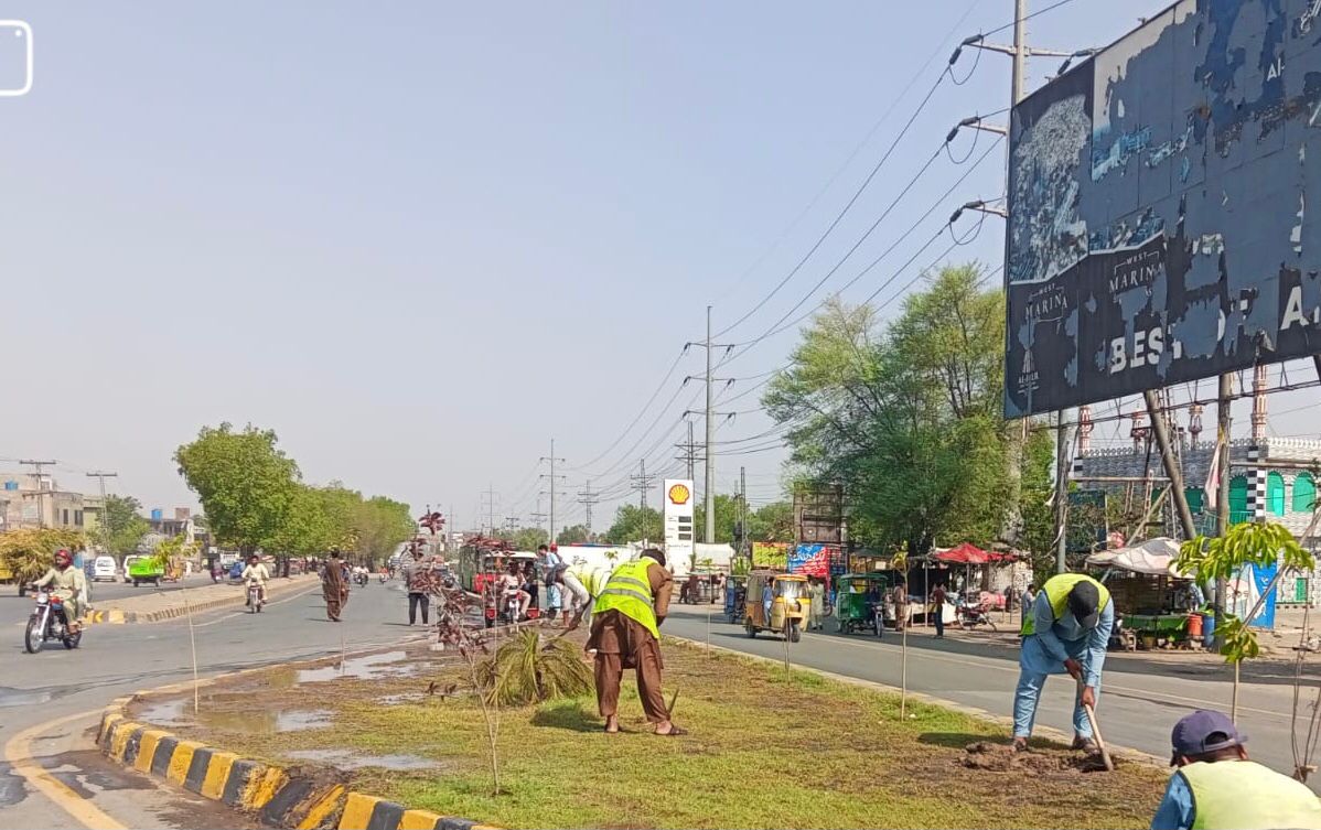 PhaLhr's tweet photo. وزیر اعلی پنجاب محترمہ مریم نواز شریف صاحبہ کے گرین پنجاب ویژن کے تحت  پی ایچ اے لاہور کے ملازمین شہر میں شاہراہوں ، گرین بیلٹ اور پارکوں میں ہارٹی کلچر کا 
کام کررہے ہیں ۔

#lahore #green #horticulture #lahori https://t.co/paSYIx7Q7c