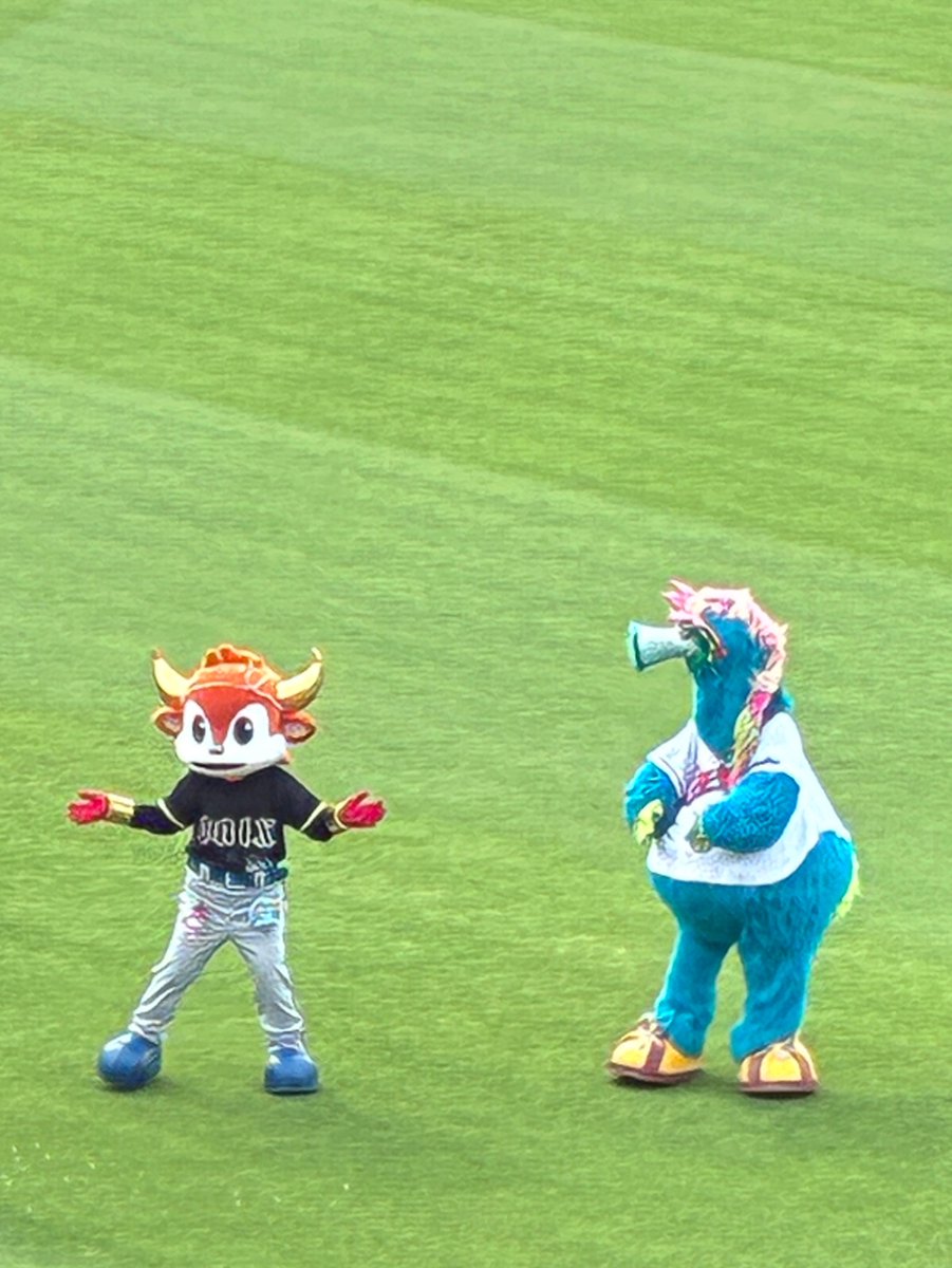 hataknk's tweet photo. こいほー🎏

久々に（開幕2試合目以来）🏟️
交流戦（オリックス）でした

勝鯉の旨酒☺️ https://t.co/u4UvmQV7k7