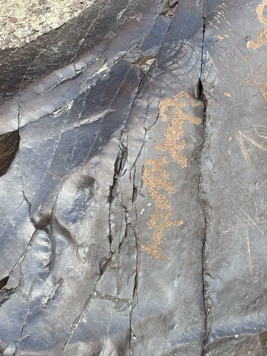 ashishkundra's tweet photo. These petroglyphs tell a story - of humankind .. from hunter gatherers to evolved sentient beings. Yet one thing stands out .. even centuries ago the urge to express through the visual medium .. even chiseling solid rock .. was constant. #Ladakh stories along the Indus https://t.co/hOLFsmGnQU