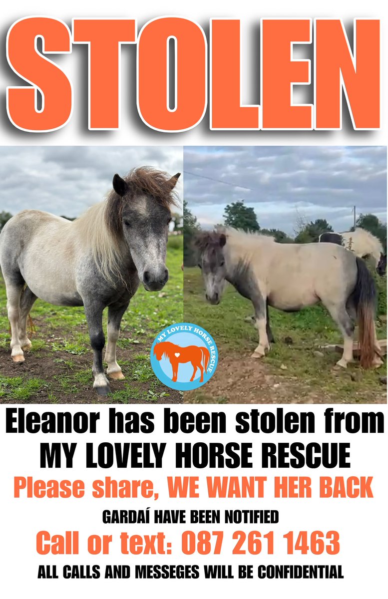 SarahJBeasley1's tweet photo. Please share to bring Eleanor home! https://t.co/BhZ9CGpXXJ