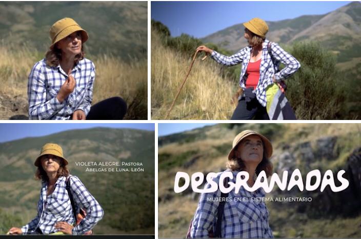 GanaderasenRed's tweet photo. Entrevista a nuestra compañera Violeta de León
#Desgranadas
https://t.co/f8dNHoqXHt https://t.co/9ZRNa62OYR