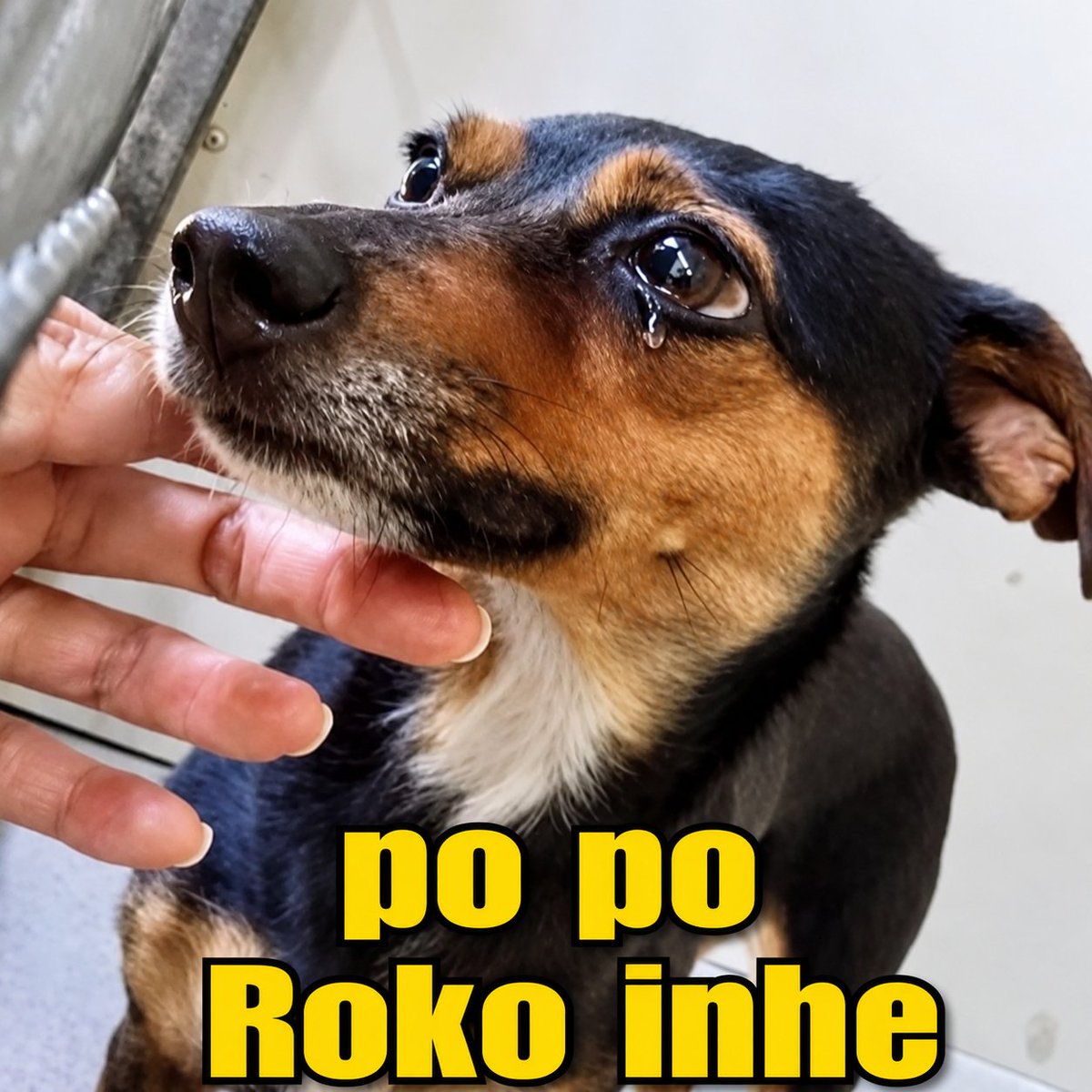 stalin_retrrns9's tweet photo. GC hugtivist: Po po po popopopo https://t.co/CFL8rLeySA