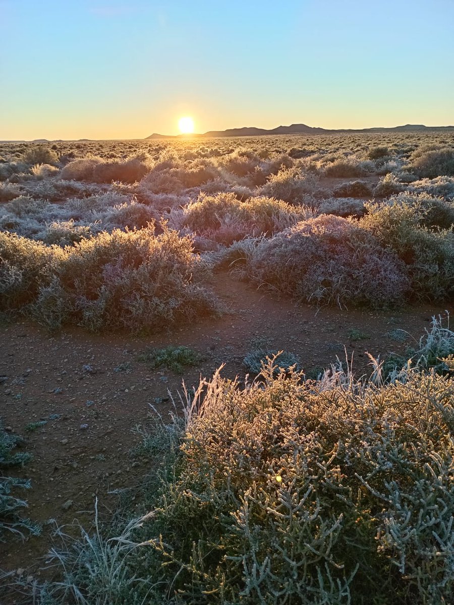 TraderFrans's tweet photo. For the Vosburg lovers  - min 5 https://t.co/d6PPkc8uWE