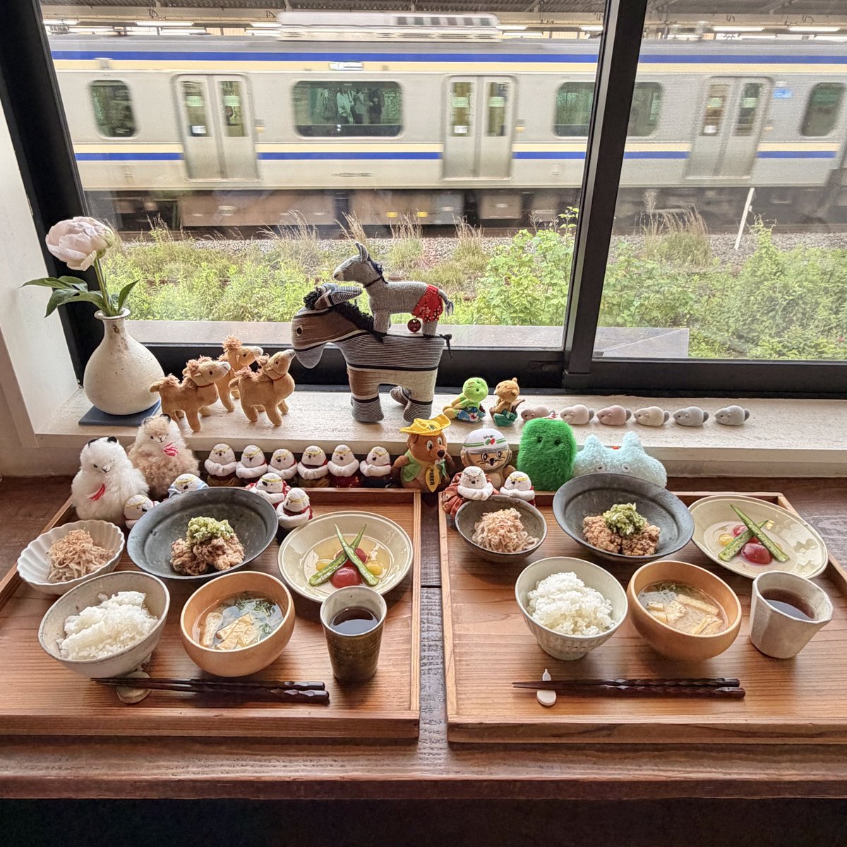 hajime_gomba's tweet photo. 美味しい定食屋さんの #sahan からの #鶴岡八幡宮 今日からホタル祭りだって!
今日は待ちが凄くて諦めたけど、明日以降ならわりと境内どこででも見られるそう。 https://t.co/HNX6sHclcT