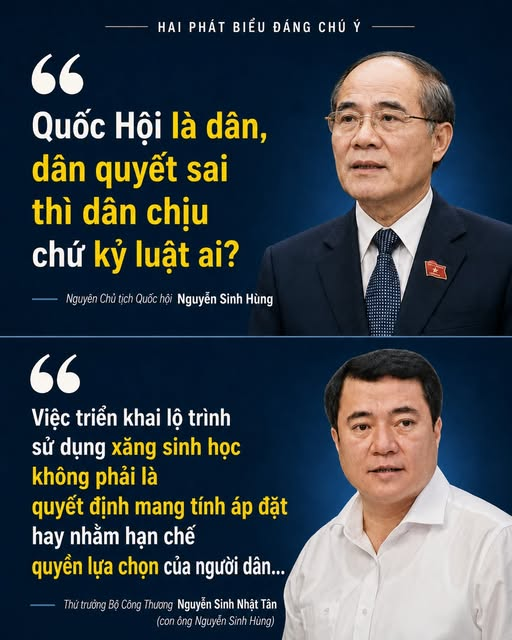 Manh Hung Dao tweet media