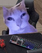 SofianeTFT's tweet photo. svp venez je me suis endormi a 8h du mat, que je stream pas pour rien au moins ... https://t.co/ndMl0n06Wi