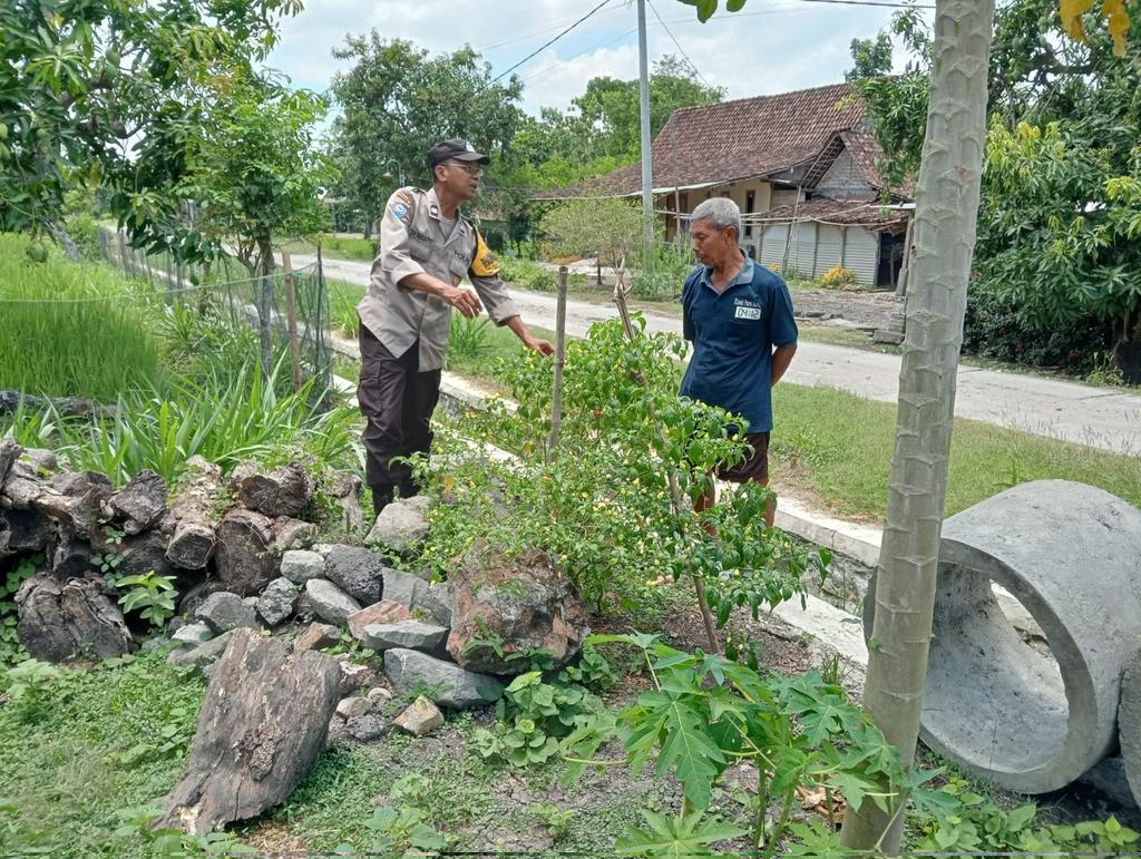 SatrioDimong's tweet photo. Bhabin Pilangkenceng terus mendorong pemanfaatan lahan pertanian secara optimal demi hasil yang maksimal
#ketahananpangan
#swasembadapangan
#astacita
#ketahananpanganpolresmadiun
#KabupatenMadiun
#PolresMadiun
#JawaTimur https://t.co/1E7LhPkEDr