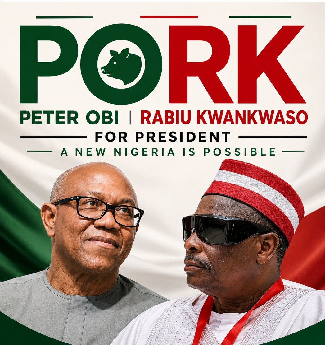 Bayo_Bilisi's tweet photo. People defending PBAT online:

1. @Riddwane - a professional journalist

2. @OgbeniDipo - multiple PhD holder

3. @FolushoxFolarin - professional banker and economist

People defending Obi online

1. @trigottista - a lowlife desert migrant and online beggar

2. The laptop donation thief

3. The rapist doctor

4. The immigration scammer of derby
