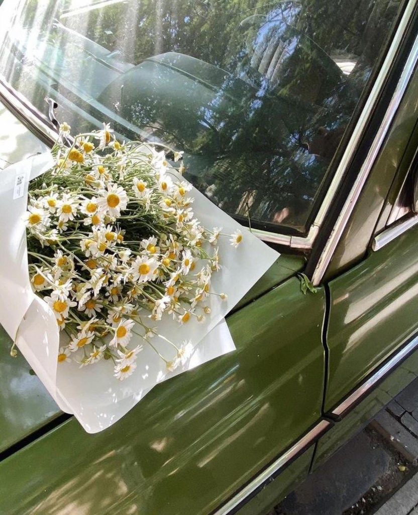 elanmood's tweet photo. life in full bloom 🌼 https://t.co/wl68oKRD9F