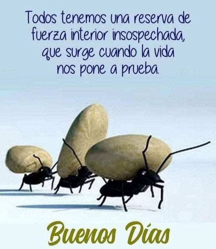 VictorR74650566's tweet photo. https://t.co/g56gDdgiH9