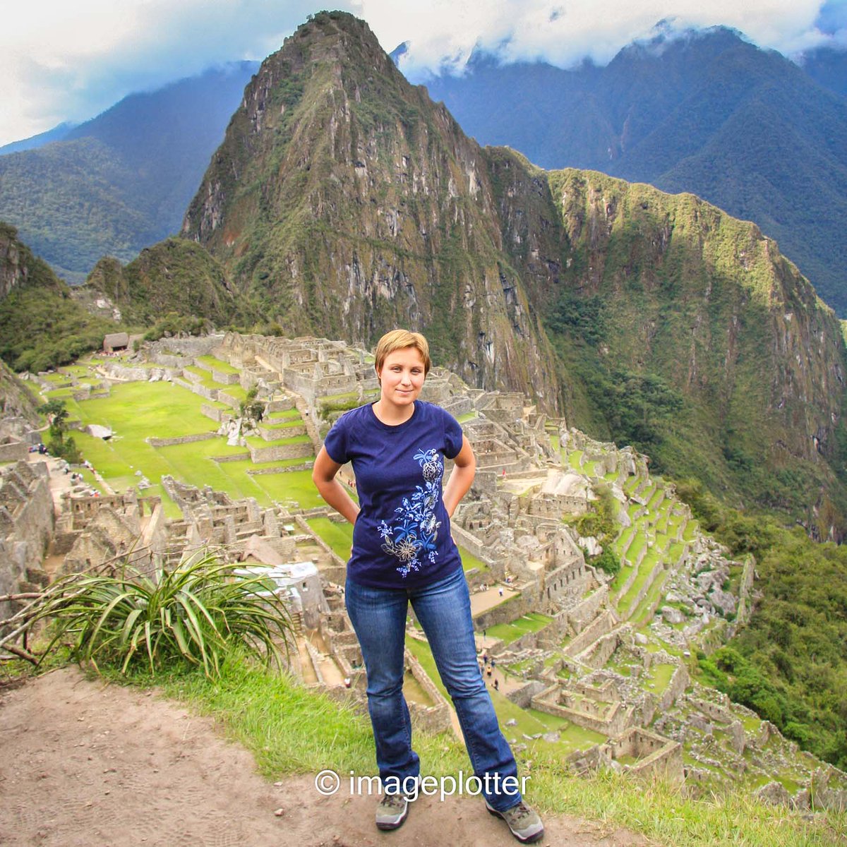 imageplotter tweet picture