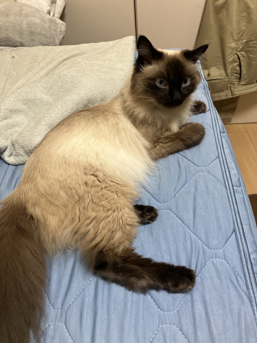 chef_dai's tweet photo. 今日もかわいい https://t.co/B365sGQlvM