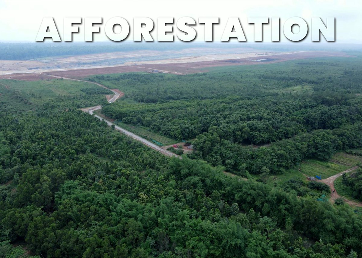 IndianInfoGuid's tweet photo. 🚨 Adani's transform Surguja  Coal Mine into 4 Million Tree Green Restoration

The Parsa East & Kanta Basan coal mine in Chhattisgarh's Surguja district is being turned from a coal pit into forest. 

Adani Enterprises runs the mine for Rajasthan's power utility RVUNL.

Afforestation so far:

1.6 million+ trees planted across 568 hectares

40 trees planted for every 1 tree cut during mining

88% survival rate for saplings

Native species: Sal, Mahua, Tendu, Amaltas, Sidha

3.5-hectare nursery with 500,000 saplings to support ongoing planting