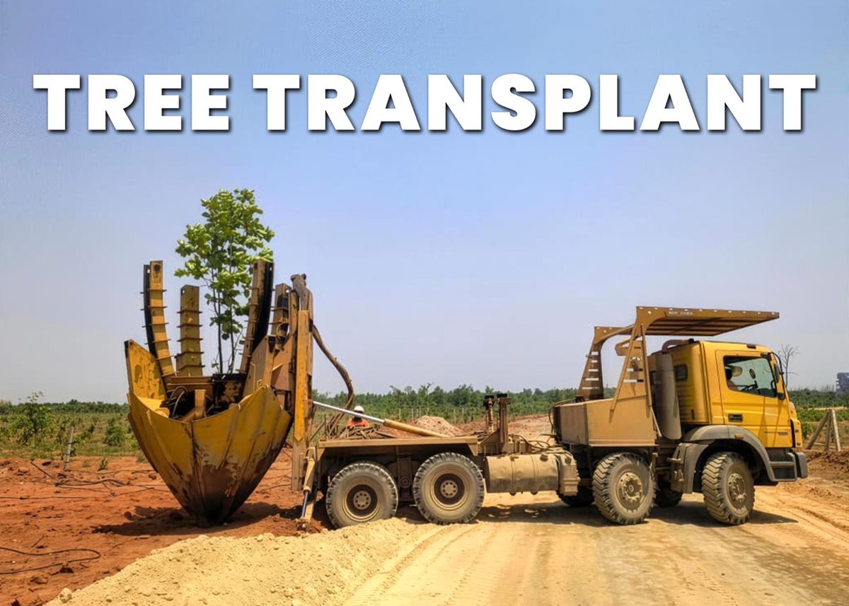 IndianInfoGuid's tweet photo. 🚨 Adani's transform Surguja  Coal Mine into 4 Million Tree Green Restoration

The Parsa East & Kanta Basan coal mine in Chhattisgarh's Surguja district is being turned from a coal pit into forest. 

Adani Enterprises runs the mine for Rajasthan's power utility RVUNL.

Afforestation so far:

1.6 million+ trees planted across 568 hectares

40 trees planted for every 1 tree cut during mining

88% survival rate for saplings

Native species: Sal, Mahua, Tendu, Amaltas, Sidha

3.5-hectare nursery with 500,000 saplings to support ongoing planting
