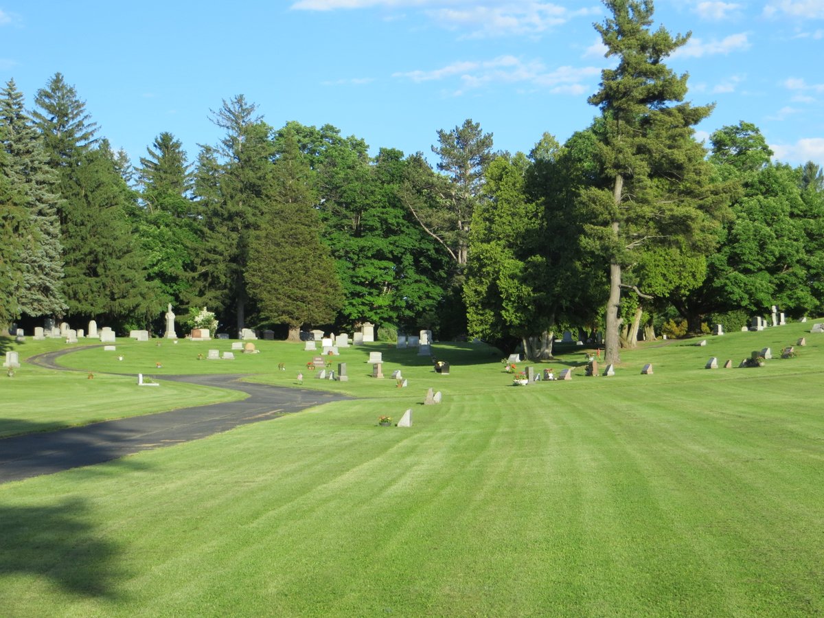giveashitnature's tweet photo. Researchers have discovered 5.6 million ground-nesting native bees living under a single 1.5-acre cemetery.

Rachel Fordyce was parking at a plaza near East Lawn Cemetery in Ithaca to save on parking fees, walking through the cemetery on her way to a Cornell entomology lab. In spring 2022, she noticed bees nesting in the ground.

The bees turned out to be Andrena regularis, a native solitary species called the "regular mining bee."

The team estimated 853 mining bees nesting per square meter at the site, scaling to roughly 5.6 million bees in the 1.5-acre cemetery. That's more than 200 honeybee hives worth of bees, in a plot smaller than a strip mall parking lot. 

Older cemeteries are accidentally some of the best-preserved native pollinator habitat in eastern North America. The same conditions chosen for grave digging (sandy, well-drained soil) are exactly what ground-nesting bees need. No tilling. No pesticides. No development. 

East Lawn Cemetery, founded in 1878, has hosted these bees since at least 1935.

About 70% of native bee species in the US nest in the ground. They're the actual pollinators of New York's apple crop. The 5.6 million bees Rachel found walking to work are some of the most important agricultural laborers in the state, and no one knew they were there.

The next time you walk past an old cemetery, consider what else might be under the ground.