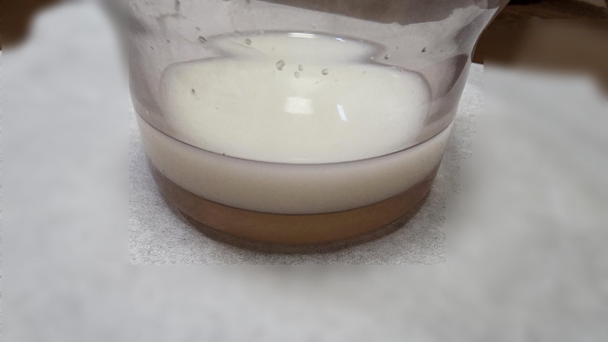 Muuchu_jp's tweet photo. 生搾り母乳、すごい出てくる
赤ちゃんなかなか飲まないからエロ用途です

動画はプロフィールから見に行ってね
#素人妻 #オナペ #母乳 #嫁晒し https://t.co/AuGrNXYrDT