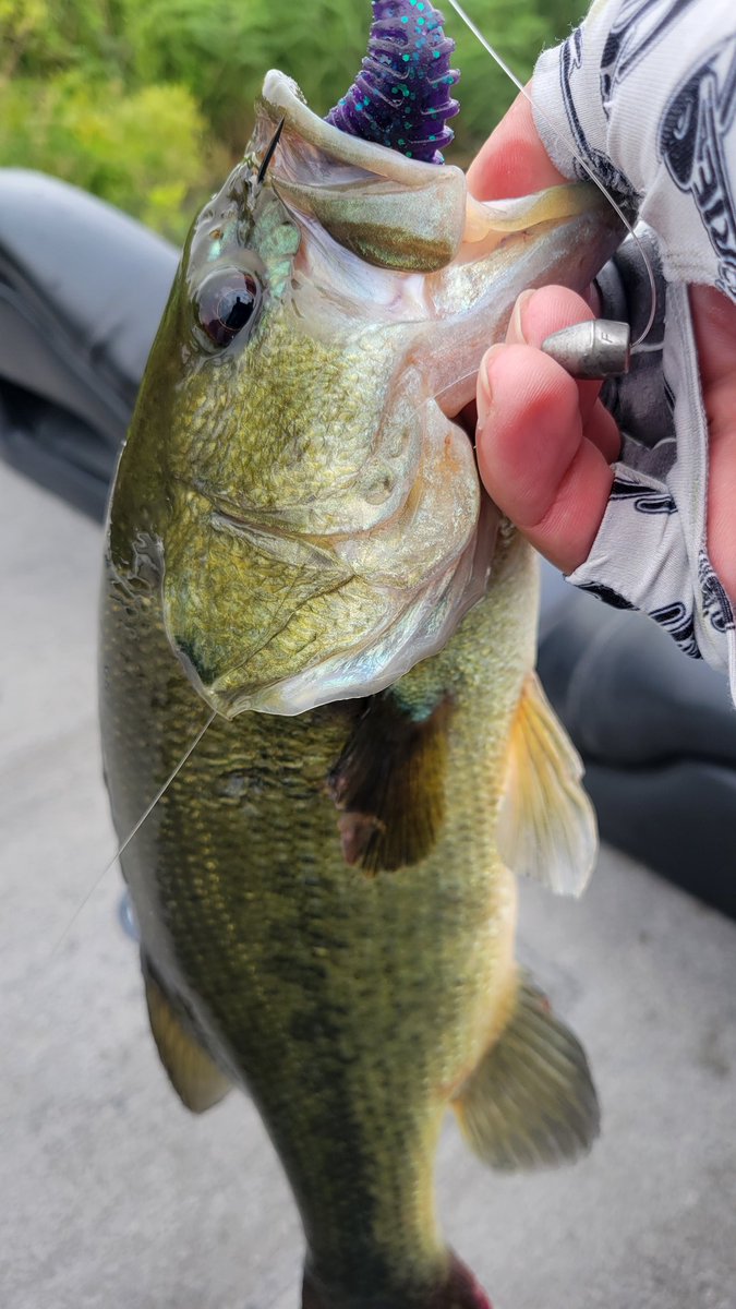 ponquick's tweet photo. ここ最近の高滝での不調をリセットするべく今日はおかず艇でしっかりとバスフィッシングしてきました🙋 https://t.co/Nx2dfw6bk4