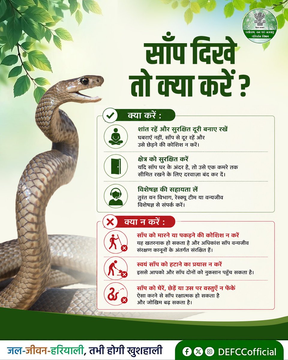 DEFCCOfficial's tweet photo. साँप दिखने पर घबराएँ नहीं, सतर्क रहें!

ऐसी स्थिति में ऊपर दिए गए सुरक्षा नियमों का पालन करें और जोखिम से बचें। आपात स्थिति में स्वयं कदम उठाने के बजाय तुरंत वन विभाग या विशेषज्ञ रेस्क्यू टीम से संपर्क करें।

@mla_hayaghat @IPRDBihar  @moefcc 

#Snake #Snakeawareness #Wildlife #WildlifeConservation
