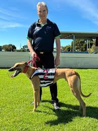 TheDogsSA's tweet photo. Run of the Month for March was jointly won by the Gavin Harris trained Dashing Jordy, who went within .01 of the Mount Gambier 512m track record in winning a heat of the Group 3 Cup.

He shared this award with the Cameron Butcher trained Apilla who won over 595m at Angle Park by 7 lengths in a super 33.83.