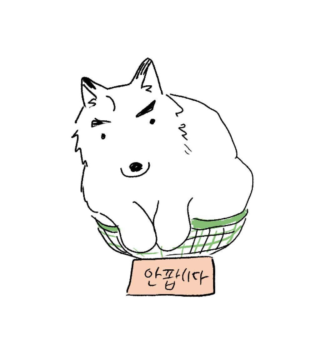 pocketyejun's tweet photo. 털뿜는 강아지 견주 https://t.co/rQx8c9Ua3h