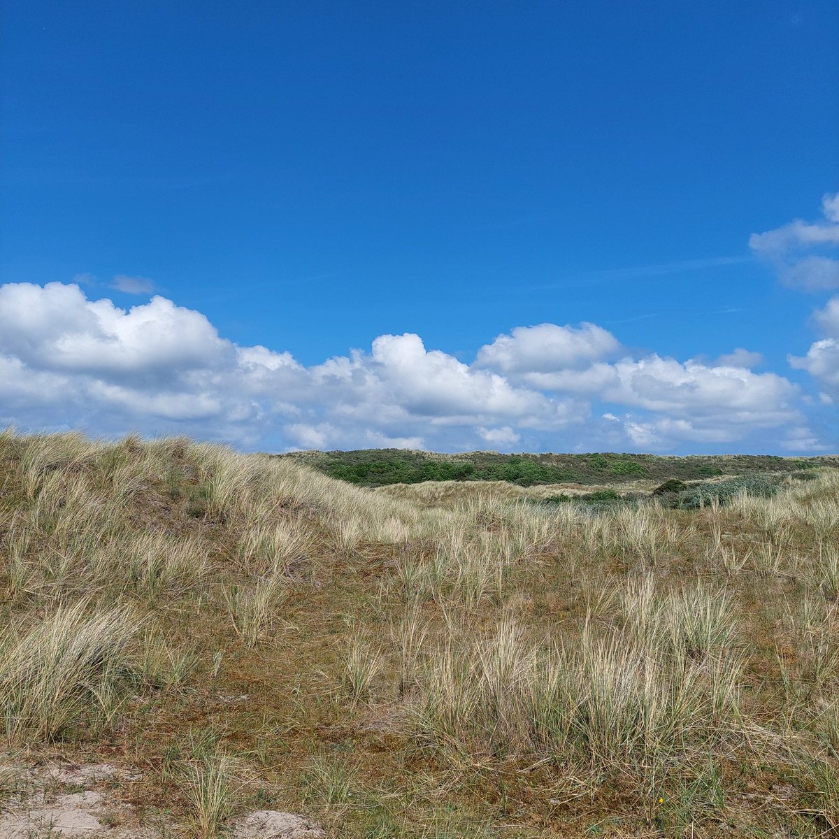 KlaasRh's tweet photo. @richardtkiewiet Ik mis Ameland nu al weer. Net 1 dag thuis. https://t.co/zUTGjoAb6Q