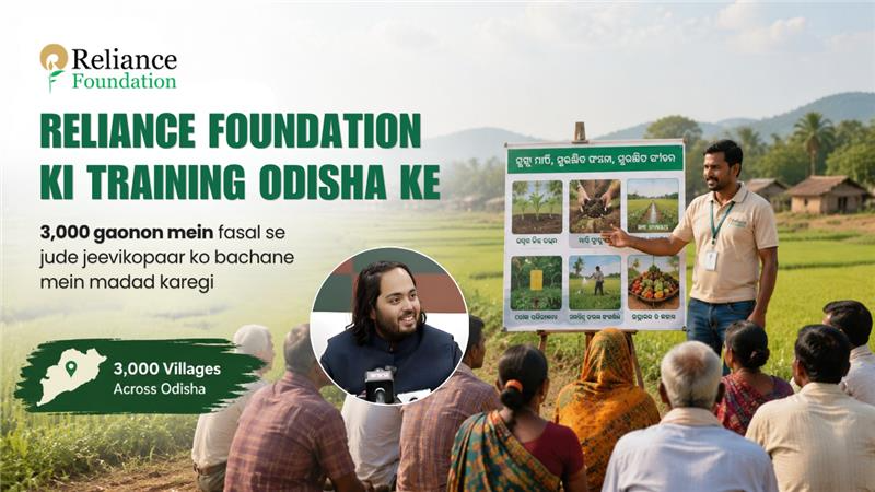 RelianceUpdate_'s tweet photo. Reliance Foundation Odisha ke 3,000 villages mein crop livelihoods protect karne ke liye farmers ko training aur support de raha hai. Ground-level impact, real change.

#RelianceFoundation https://t.co/sneh3nRiLb