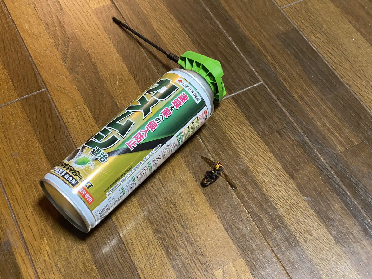 nagaikouji072's tweet photo. やば…… 家の中にでかいスズメバチが入ってきてて格闘の末倒した……
寝そべってスマホ見てたらブーンってデカイ音して見たらスズメバチが飛んでる！！

慌ててバードが送ってくれてたカメムシキラーを取り出して噴射しまくり！！
何度吹きかけても飛んで襲ってくる！！
めちゃくちゃ噴射しまくってついに墜落！
そこからのホウキで一撃して終焉を迎えました… マジでこんなのに刺されてたらひとたまりも無かったわ… 
マジで焦ったが……
バード星人さんに感謝！助かったわぁー