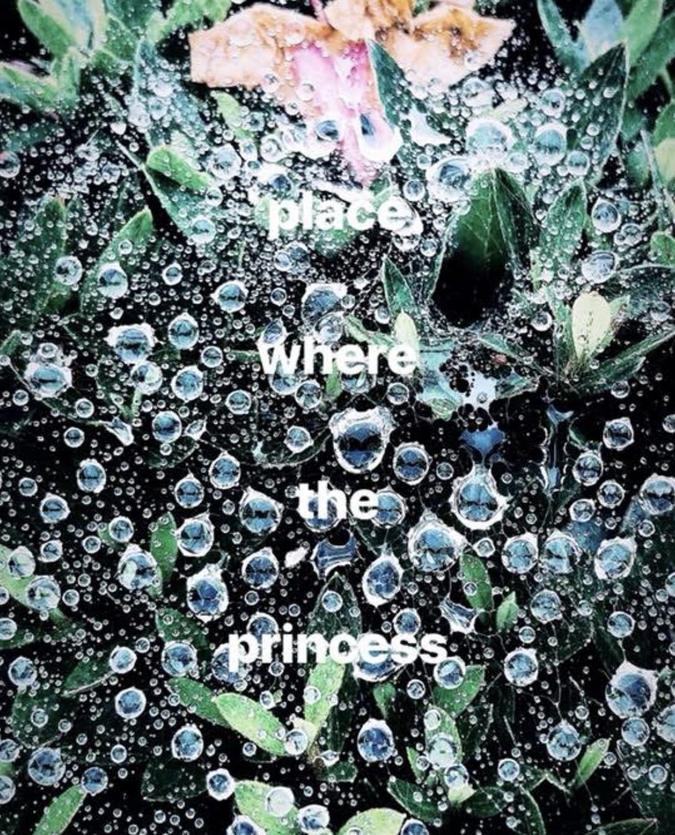 cosmostyle10's tweet photo. 「　place where the princess  」

#photography https://t.co/6Z8GCncqIa