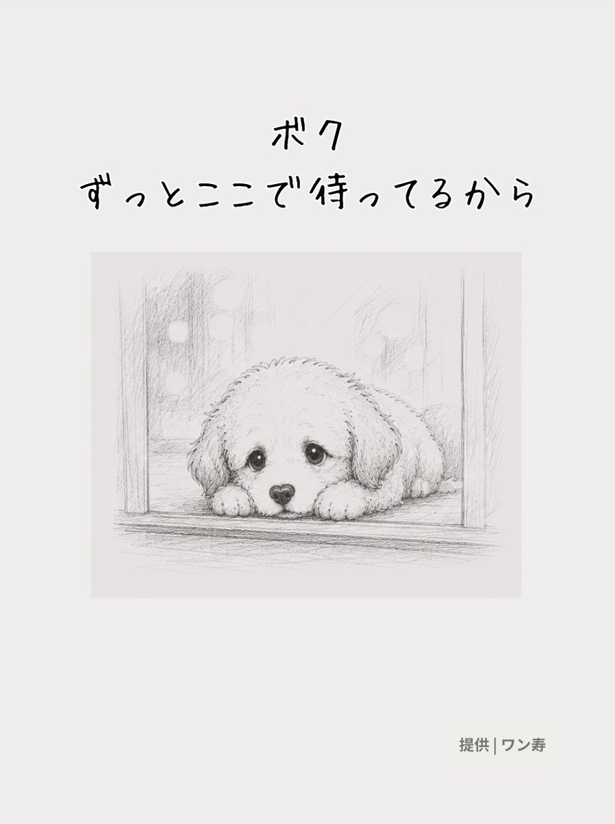lifefire_zndmn's tweet photo. https://t.co/3176BvRMEO