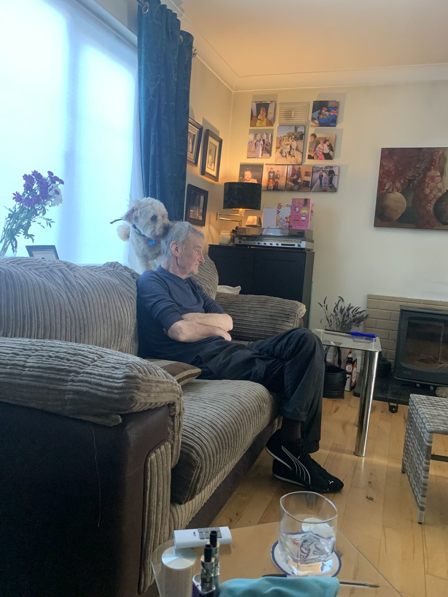 yviedoyle's tweet photo. @Wholeswell @ItaAnderson46T Hahaha you’ve your hands full with Bob, he’s the image of my daughters Rory, he’s nuts https://t.co/VUtAhDII4g