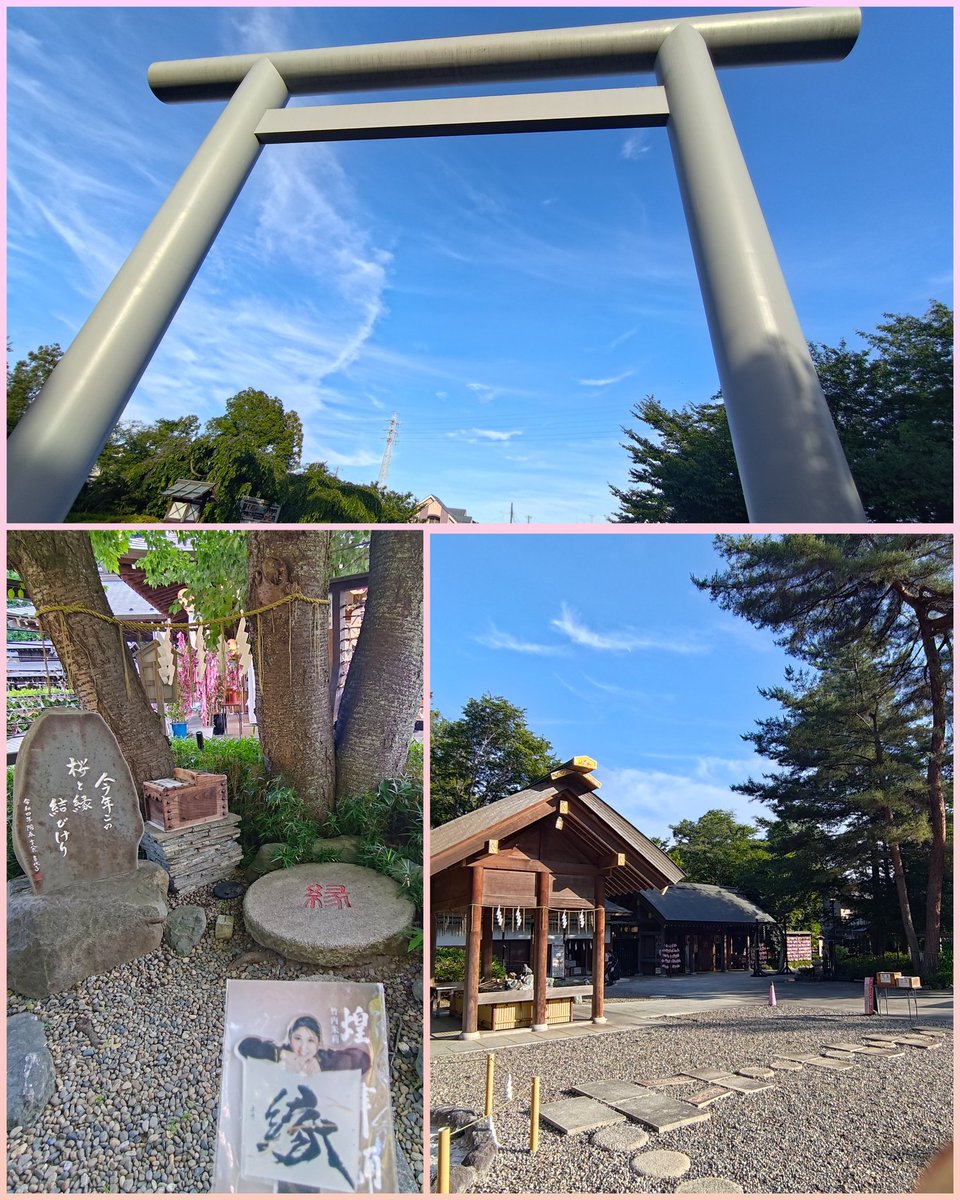 bibidee_'s tweet photo. 開場時間過ぎたのに入口が分からない💦
どんどん人が減っていくがどこに消えてるんだ？
…改めてメール見ると駐車場が集合場所だった！アブねぇ間に合った💦💦
超巨大な鳥居に圧倒されながら列形成。
本来祈祷者のみ入れる部屋に通され、厳かな場所に椅子が並ぶ。
端ながら最前と言う幸運✨⛩️ https://t.co/lhqOlqLFmI
