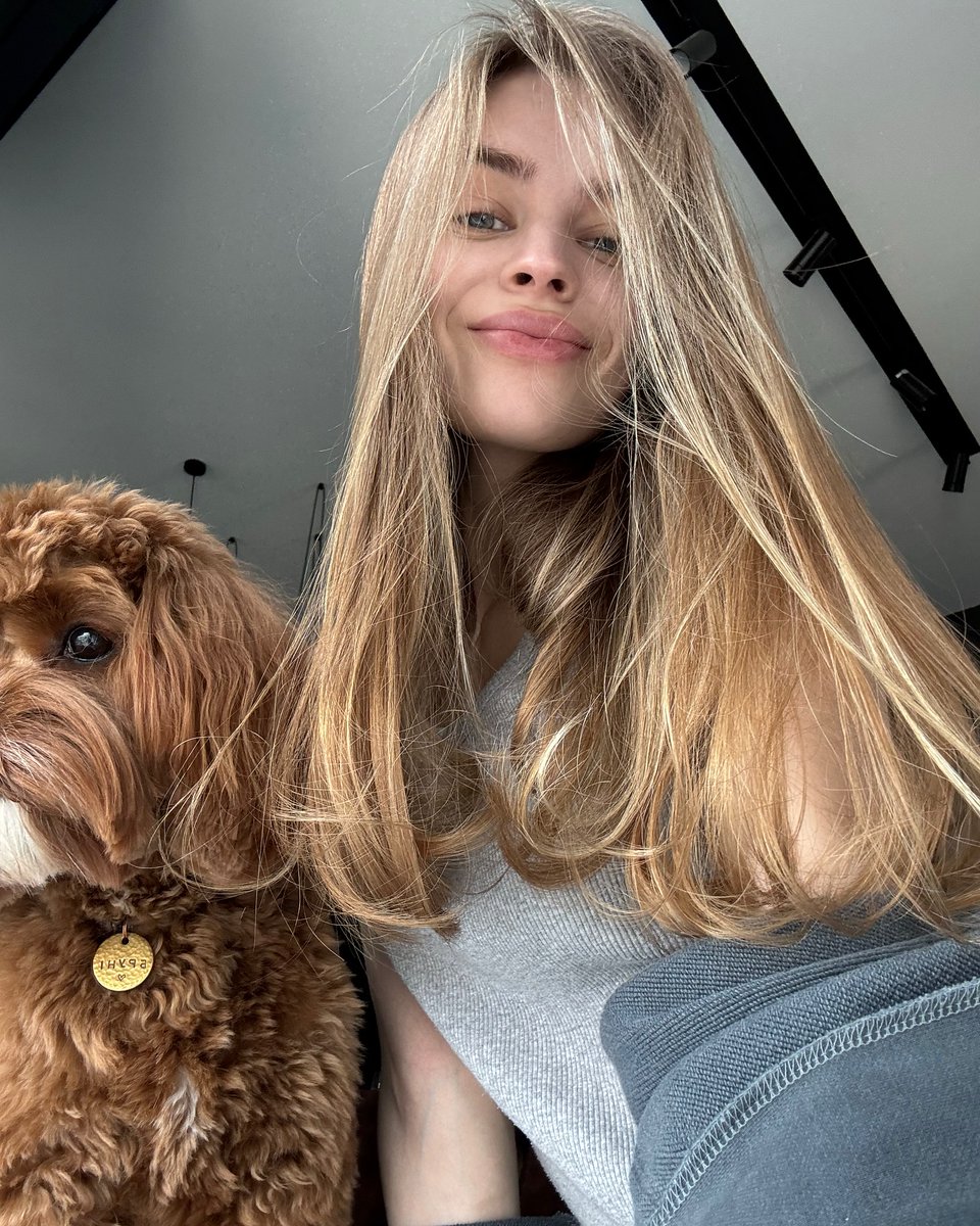 Connreeves's tweet photo. Hey X, please say hello to my little dog❤🥰 https://t.co/4cRwVjdq5q
