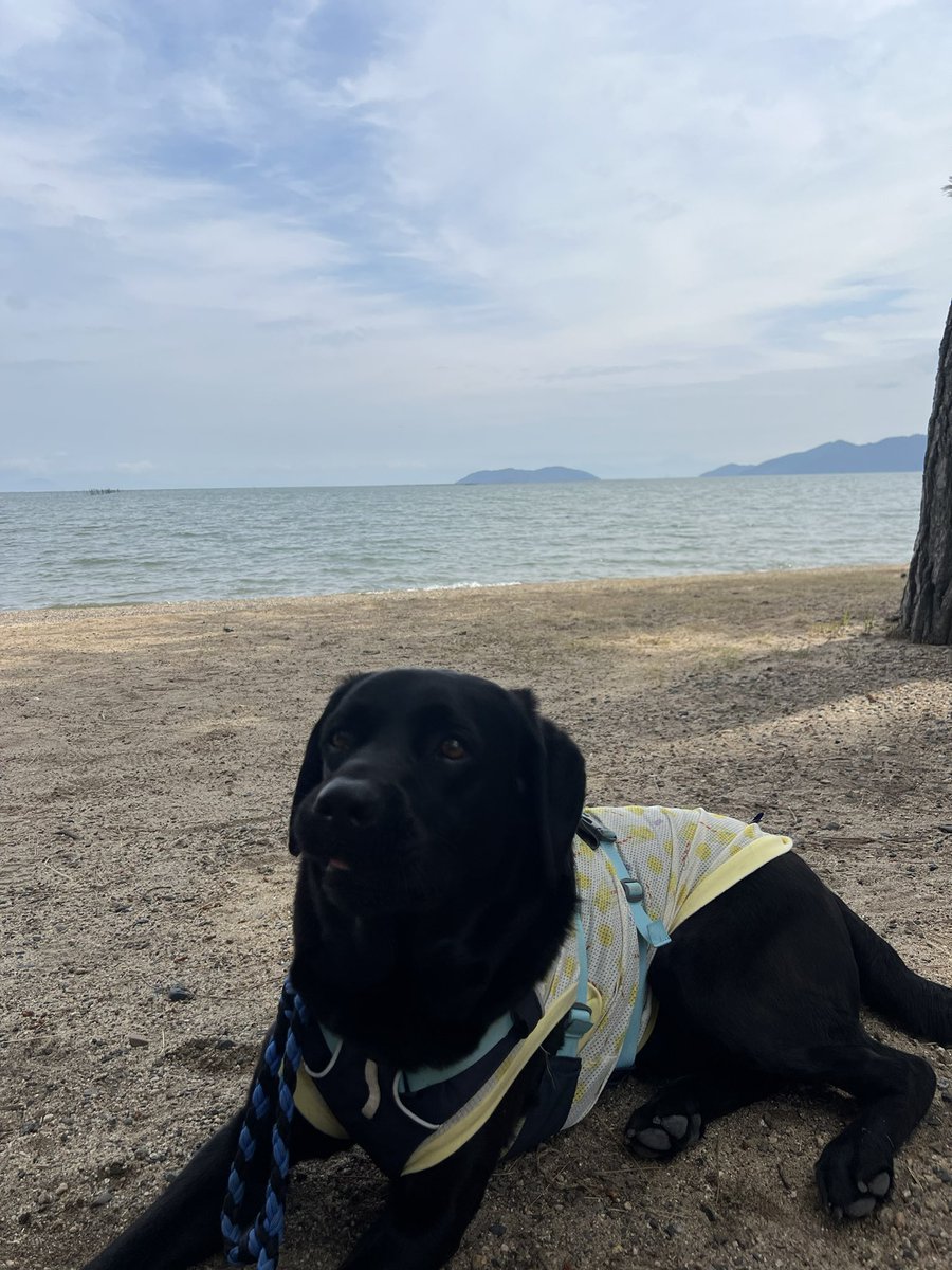 AzsynX's tweet photo. 琵琶湖気持ちいい☀️ https://t.co/NVwApw2GeG