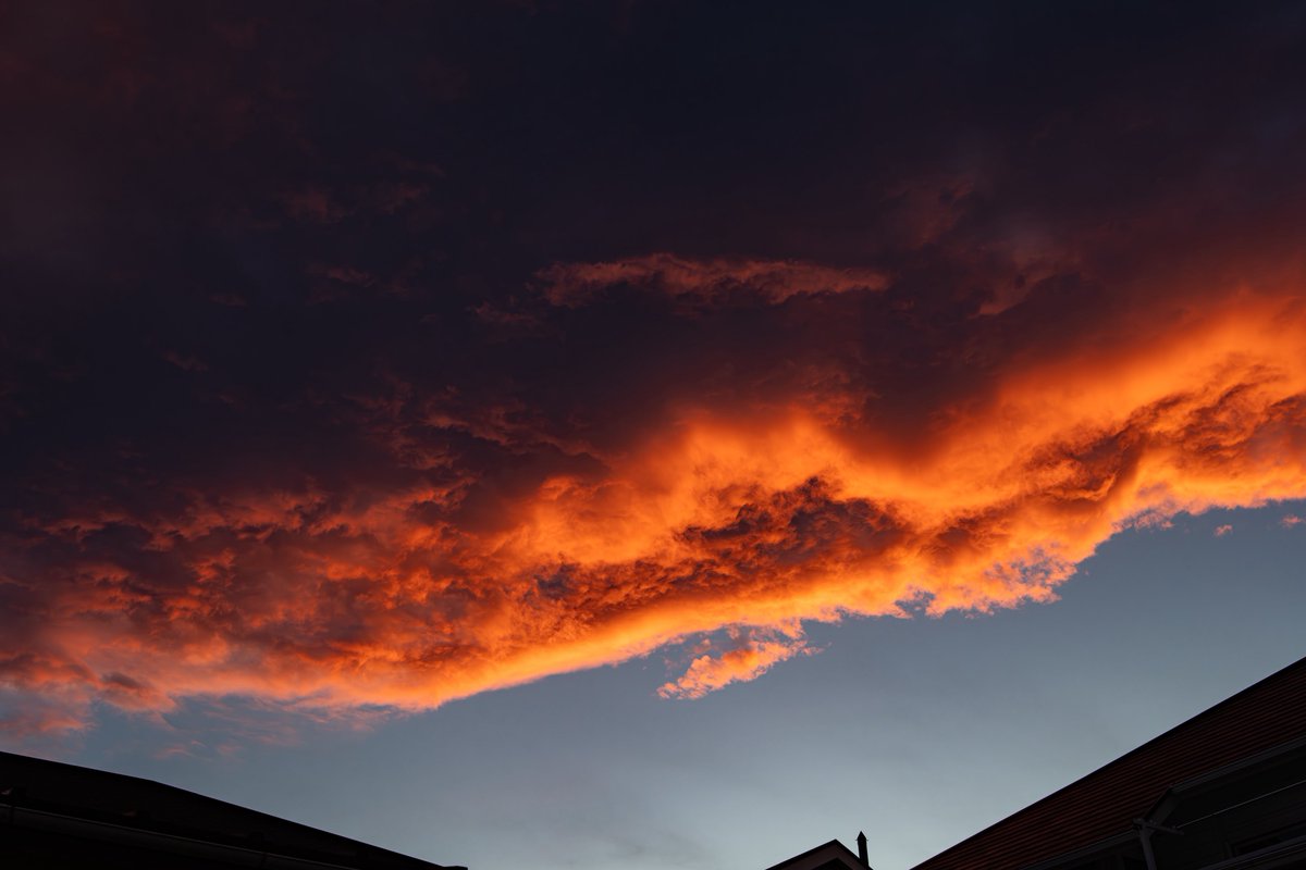 flatdrive40's tweet photo. 燃え出づる雲🔥
危機迫る、この雲怖くない⁉️😱
 #平塚の空
 #夕焼け
 #雲の迫力
 #SONYα7R5
 #SIGMA
 #SIGMA28105f28
 #アルファホビー部 https://t.co/9BqjxrIly3