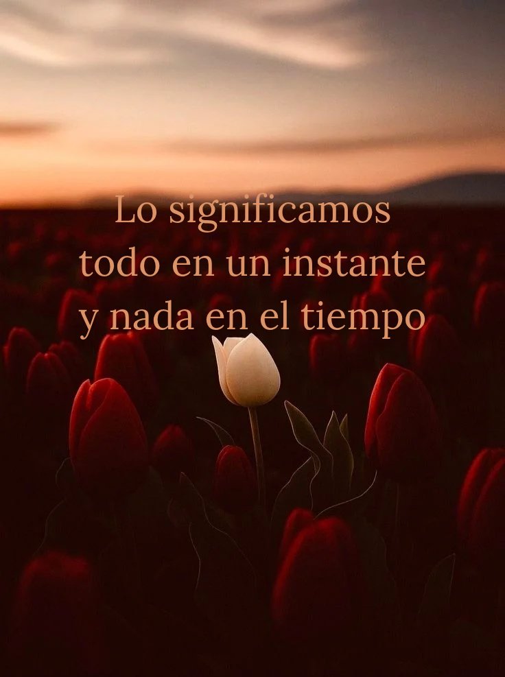 Contextovacio's tweet photo. https://t.co/a8lE1gT0cl