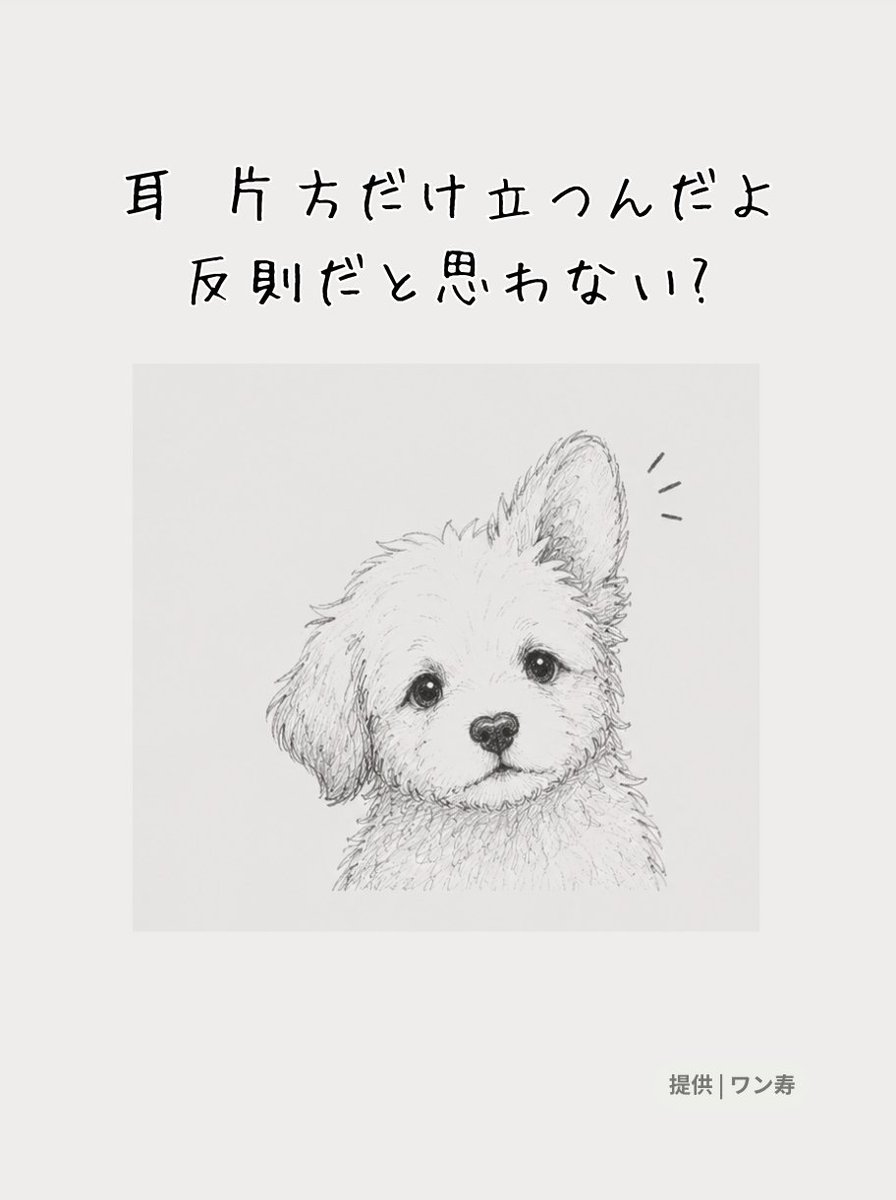 lifefire_zndmn's tweet photo. https://t.co/d6lJVAtVrK