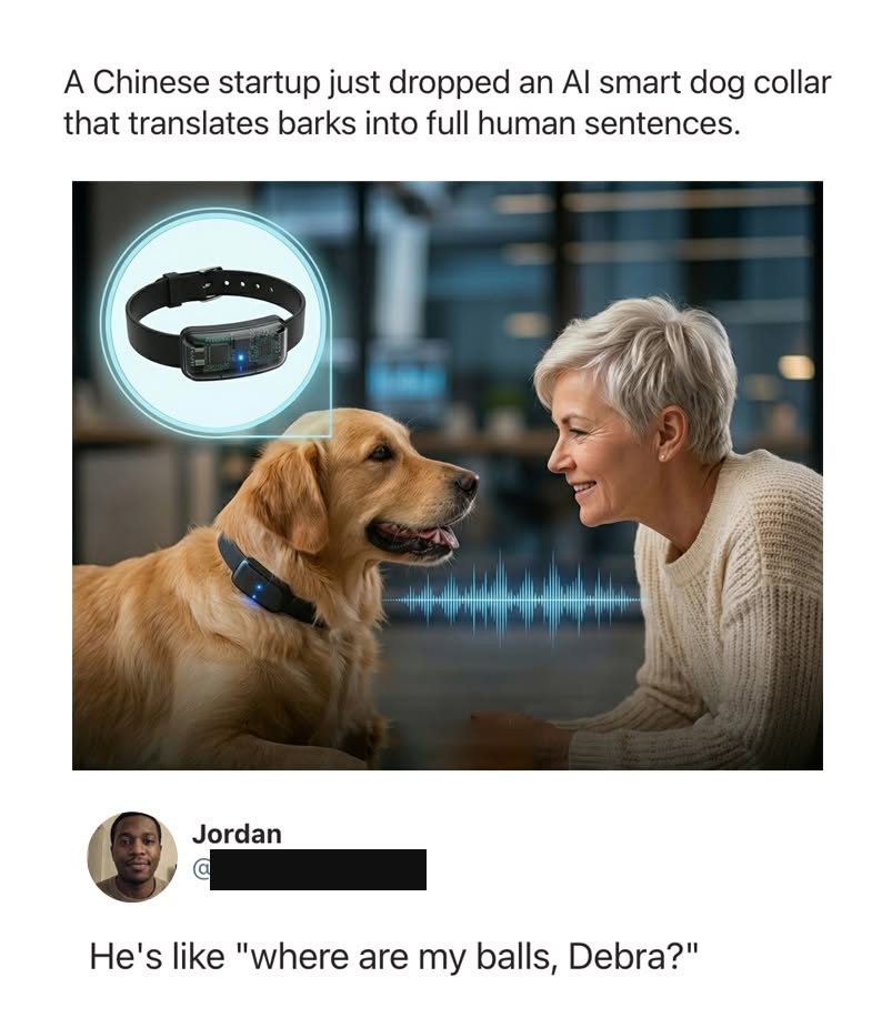 MensHumor's tweet photo. If this collar is real, I don't think dogs are going to be nearly as profound as people think.

Dog: "Love you."

Dog: "Food?"

Dog: "Love you."

Dog: "SQUIRREL!"

Dog: "Where's my ball?"

Dog: "Love you."

Doug from Up might actually be the most accurate dog ever written.

What's the first thing your dog would say if it could suddenly speak full sentences?