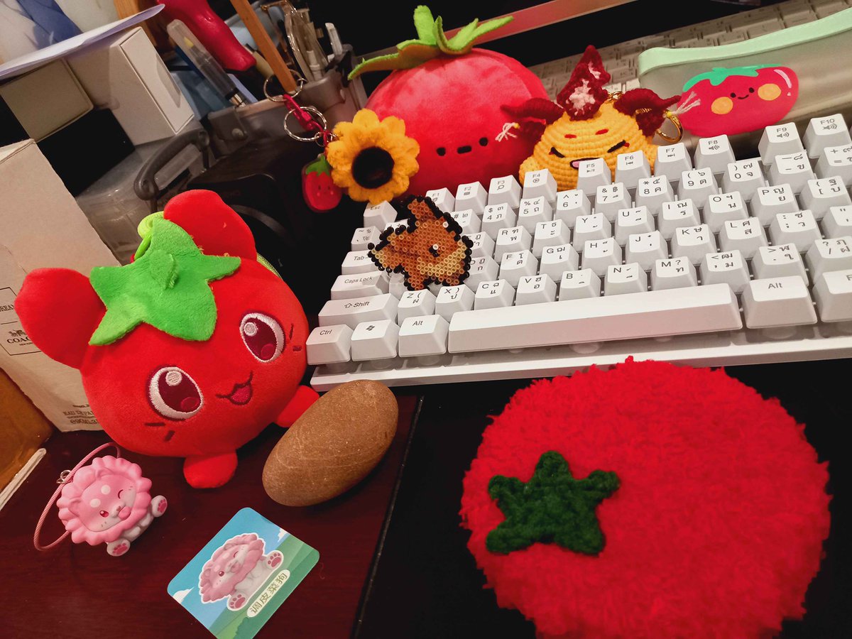 Limmeiii201's tweet photo. 🍅 รูปหมู่กับแก๊งมะเขือเท่ด :3 https://t.co/0em0uW0nVb