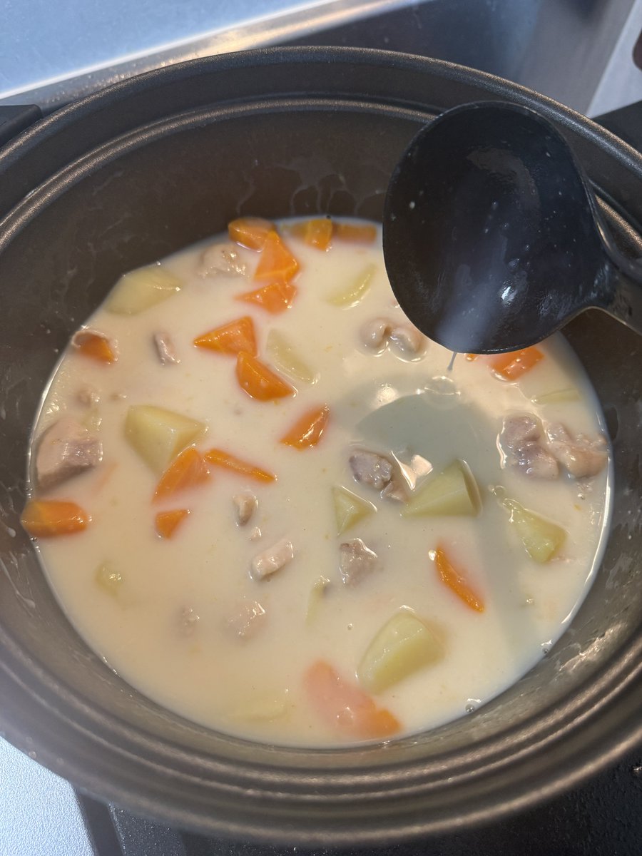 mako_Cyber's tweet photo. 季節外れすぎる(無性に食べたくなった)
そして入れ忘れられた玉ねぎくん https://t.co/hMDfo4VZGL